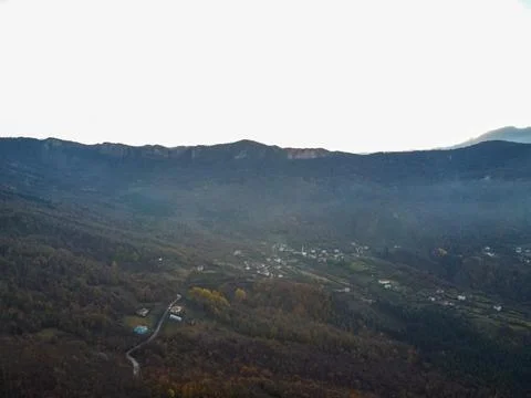 Aerial view of the forest Stock Photos