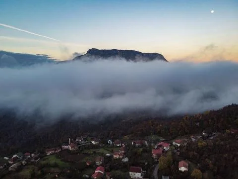 Aerial view of the forest 스톡 사진