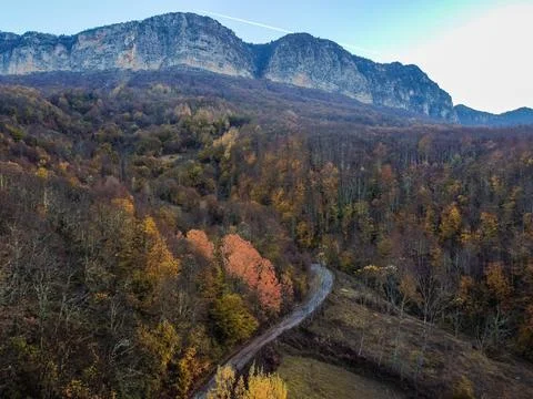 Aerial view of the forest Stock Photos