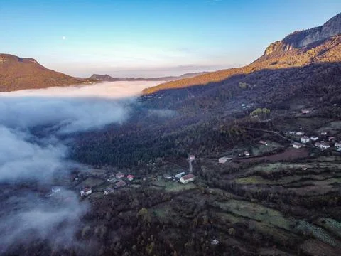 Aerial view of the forest Stock Photos