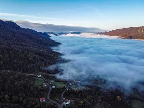 Aerial view of the forest Stock Photos