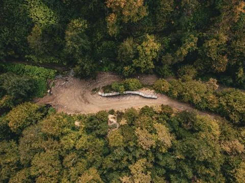 Aerial view of the forest Stock-Fotos