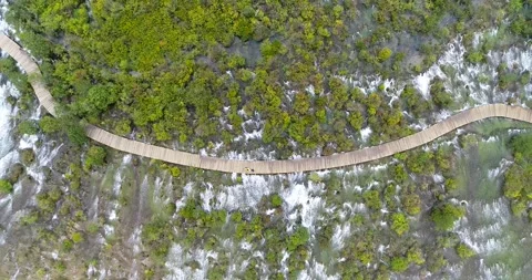 Aerial View of Forest Plank Road in Jiuzhaigou Sichuan China Stock Footage 336883973