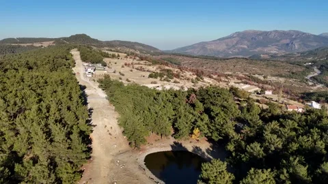Aerial View of Forest with Pond to top of the Trees Stock Footage 297802444