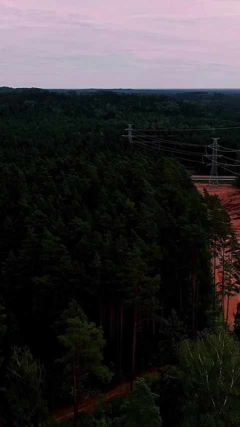 Aerial View of Forest, Power Lines, and Cleared Land Stock Footage 336847544