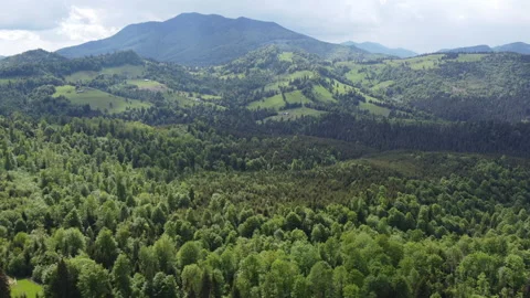 Aerial view of the forest range in Pasul Tihuta,Transylvania Stock Footage 155359521