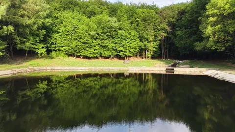 Aerial view of forest reservoir surrounded by fresh green spring foliage Stock Footage 336013158