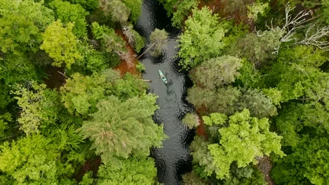 Aerial view of a forest with a river and kayaks floating in the forest in summer Stock Footage 245744472