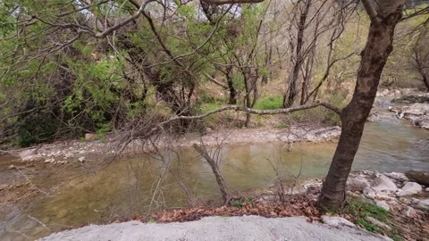 Aerial View of a Forest River and Concrete Bridge in Fall Stock Footage 305236356