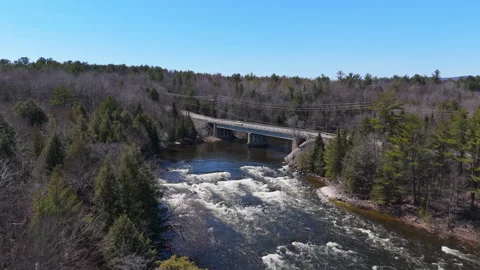 Aerial View of Forest River and Bridge – 4K Drone Footage Stock Footage 307463055