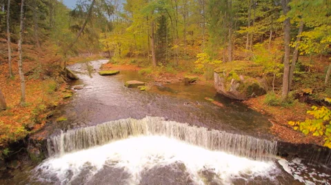 Aerial view of the forest with a river Stock Footage 60929981
