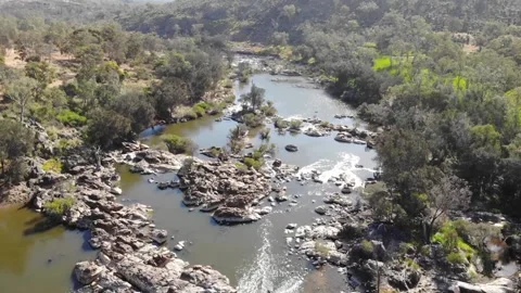 Aerial View of Forest River Stock Footage 138208961