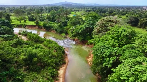 Aerial view of a forest river landscape. Видео 330097001