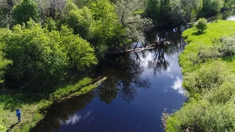 Aerial view of forest river with transparent filled with fresh water . 库存影片 117500738