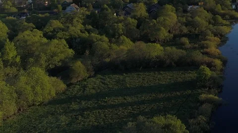 Aerial view of forest river with transparent filled with fresh water surrounded Video stock 117594445
