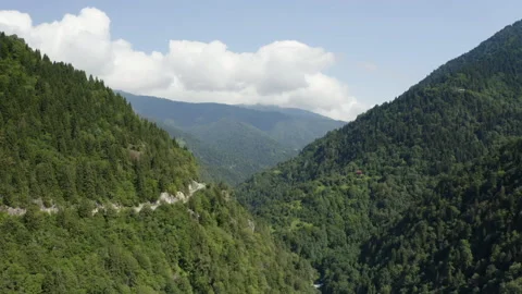 Aerial view of Forest in Rize. 4K Footage in Turkey Stock Footage 234183853