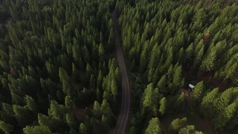 Aerial View of Forest With Road and Rural Home Stock Footage 70652185