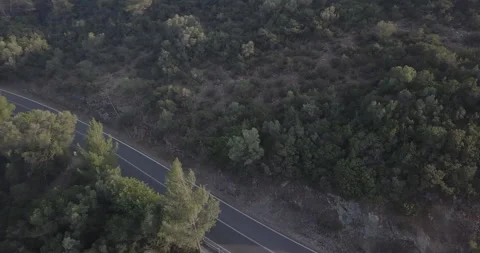 Aerial View of Forest with Road Cutting Through Stock Footage 311939984
