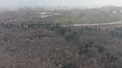 Aerial View Of Forest Road In Dense Fog Stock Footage 328823392