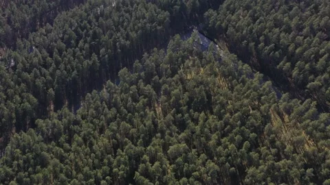 Aerial view of a forest road. Drone view of a roadway in a forest. Stock Footage 130380185