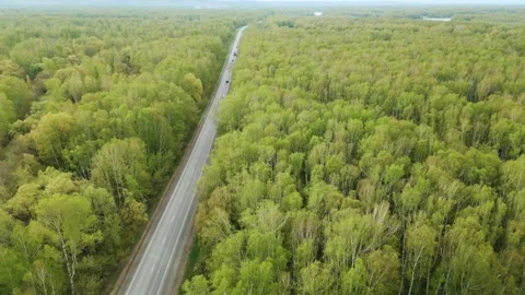 Aerial view of a forest road Stock-Footage 331619569