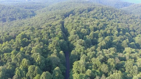 Aerial View of Forest Road in Great Smoky Mountains National Park Stock Footage 328964686