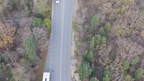 Aerial view of forest road with passing car in autumn landscape Stock Footage 322902016