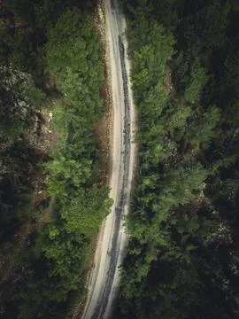 Aerial view of forest road with pine trees on both sides in autumn Stock Photos