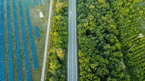 Aerial view of forest road surrounded by trees and solar panels. High quality Stock-Footage 156399218