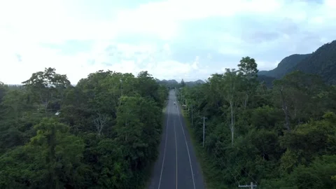 Aerial View of Forest Road Through Lush Tropical Landscape Stock Footage 340899512