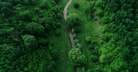 Aerial view of a forest situated in a mountainous region. Stock Footage 135028061