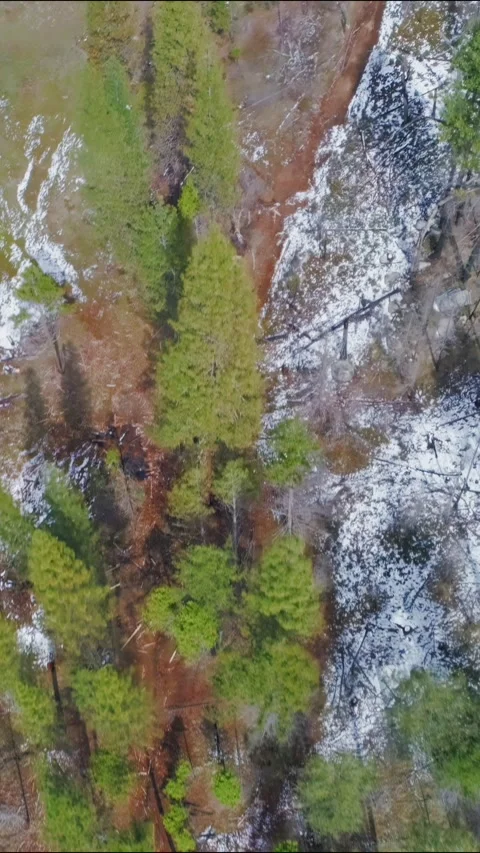 Aerial view of a forest with snow and burnt patches.  Yosemite, USA Stock Footage 314402811
