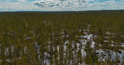 Aerial view of forest with snow. Vídeos de archivo 257830815