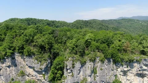 Aerial view of forest in Sochi. Summer in Russia. Stock Footage 314815933