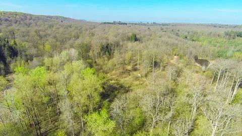 Aerial View Of Forest In Spring Photos