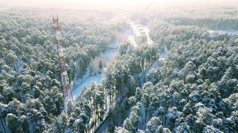 Aerial view of the forest of spruce pine crowns after a snowfall landscape Stock Footage 234021292