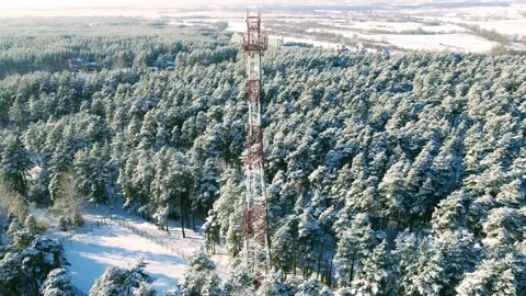 Aerial view of the forest of spruce pine crowns after a snowfall landscape Stock Footage 234021428