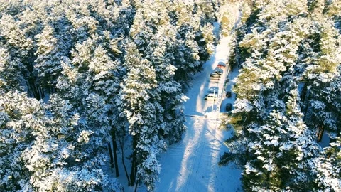 Aerial view of the forest of spruce pine crowns after a snowfall landscape Stock Footage 234021497