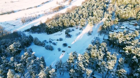 Aerial view of the forest of spruce pine crowns after a snowfall landscape Stock Footage 234021732