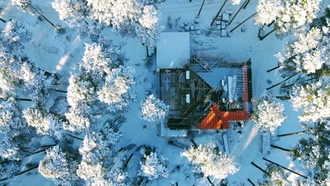 Aerial view of the forest of spruce pine crowns after a snowfall landscape Stock Footage 234022072