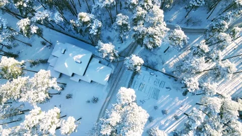 Aerial view of the forest of spruce pine crowns after a snowfall landscape Stock Footage 234022233