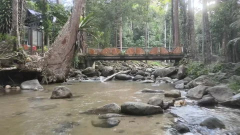 Aerial view of Forest, Stone and River Southern state of Malaysia Stock Footage 147344175