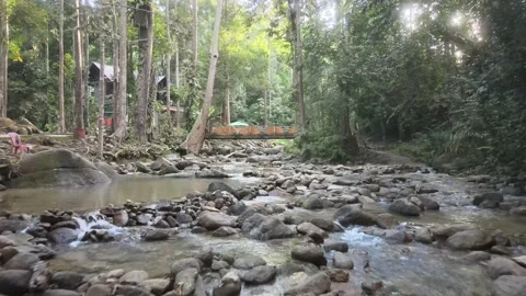 Aerial view of Forest, Stone and River Southern state of Malaysia Stock Footage 147344184