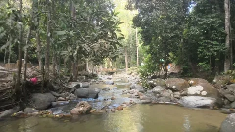 Aerial view of Forest, Stone and River Southern state of Malaysia Stock Footage 147344258