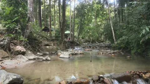 Aerial view of Forest, Stone and River Southern state of Malaysia Stock Footage 147344323