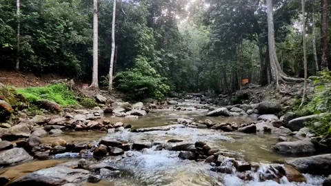 Aerial view of Forest, Stone and River Ulu Bendul Forest of Malaysia Stock Footage 147344373