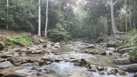 Aerial view of Forest, Stone and River Southern state of Malaysia Stock Footage 147344577