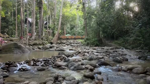 Aerial view of Forest, Stone, bridge and River Southern state of Malaysia Stock Footage 147344238