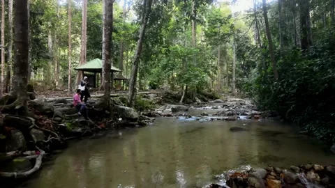 Aerial view of Forest, Stone, bridge and River Ulu Bendul Forest Reserve Stock Footage 147344291