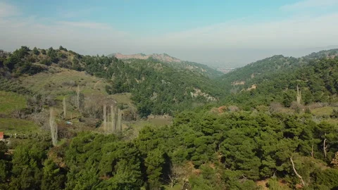 Aerial view of forest in summer time, green trees and rivers, fa01 Stock Footage 277044488